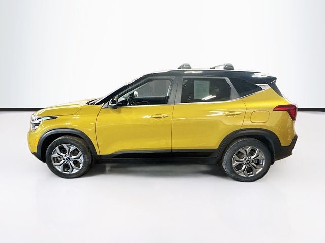 2024 Kia Seltos — interior view